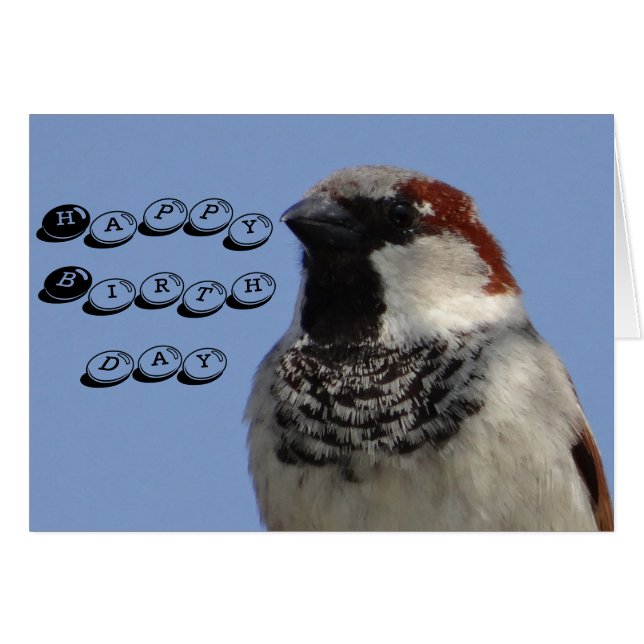 Carte d'anniversaire mignon petit oiseau (Devant horizontal)