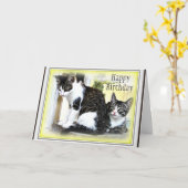 Carte d'anniversaire mignonne de deux chatons (Fleur jaune)
