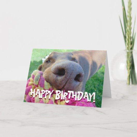 Carte d'anniversaire mignonne de dobermann (Devant)