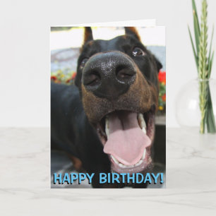 Carte d'anniversaire mignonne de dobermann