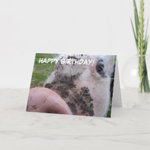 Carte d'anniversaire mignonne de porc