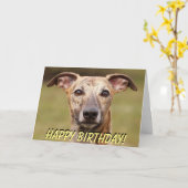 Carte d'anniversaire mignonne de whippet (Fleur jaune)