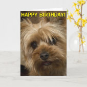 Carte d'anniversaire mignonne de Yorkie (Fleur jaune)