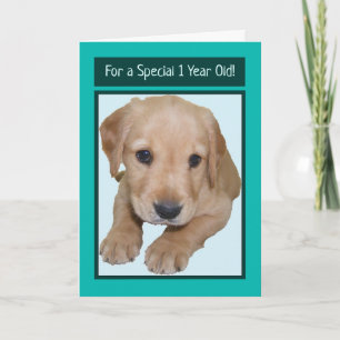 Carte d'anniversaire mignonne pour un garçon de 1 