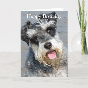 Carte d'anniversaire miniature de photo de chien