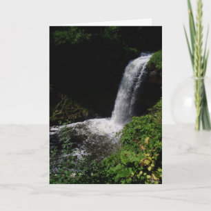 Carte d'anniversaire "Minnehaha Falls #2"