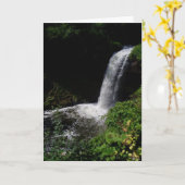 Carte d'anniversaire "Minnehaha Falls #2" (Fleur jaune)