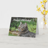 Carte d'anniversaire : Minnie le chat (Fleur jaune)