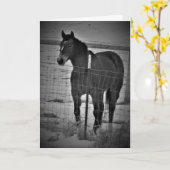 Carte d'anniversaire "Monte sur tes grands chevaux (Fleur jaune)