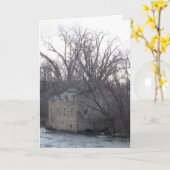 Carte d'anniversaire n° 2 de "Archibald Mill Ruins (Fleur jaune)