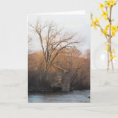 Carte d'anniversaire n° 4 de "Archibald Mill Ruins (Fleur jaune)