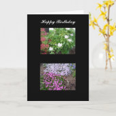 Carte d'anniversaire Nature (Fleur jaune)