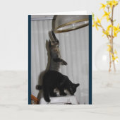 Carte d'anniversaire Naughty Kitty (Fleur jaune)