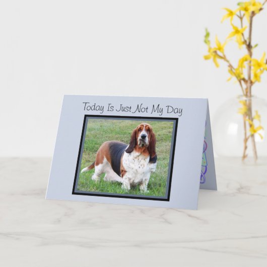 Carte d'anniversaire "Not My Day" avec Hound Basse (Fleur jaune)