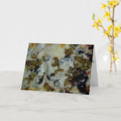 Carte d'anniversaire "Olives noires et vertes" (Fleur jaune)