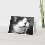 Carte d'anniversaire Opera Kitty (Devant)