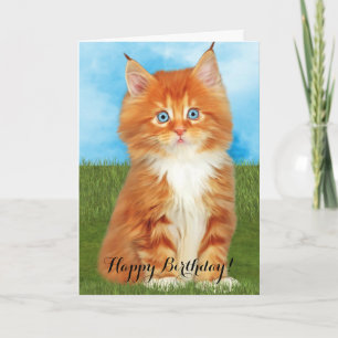 Carte d'anniversaire orange d'yeux bleus de chaton