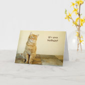 Carte d'anniversaire Orange Tabby (Fleur jaune)