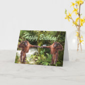 Carte d'anniversaire Orangutan Baby in Jungle (Fleur jaune)