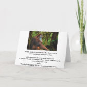 Carte d'anniversaire Orangutan & Rainforest (Dos)