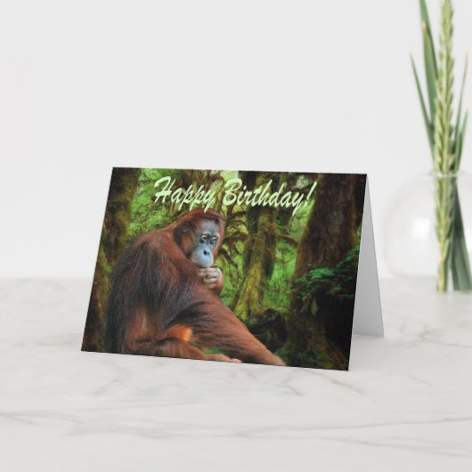 Carte d'anniversaire Orangutan & Rainforest (Devant)