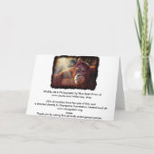 Carte d'anniversaire Orangutan & Rainforest Sunlig (Dos)