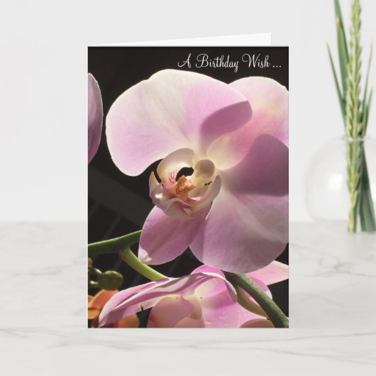 Carte d'anniversaire Orchidée Rose (Devant)
