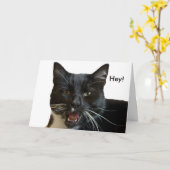 Carte d'anniversaire : Ou autre chat (Fleur jaune)