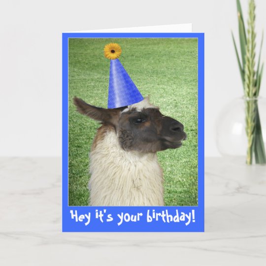 Carte D Anniversaire Ou Invitation Drole De Lama Zazzle Be