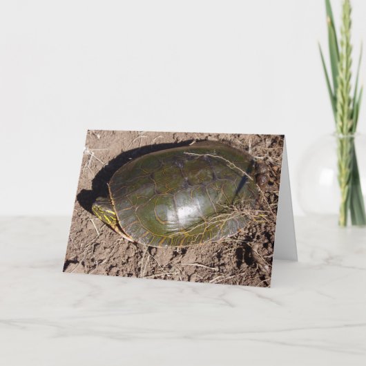 Carte d'anniversaire “Painted Turtle” (Devant)