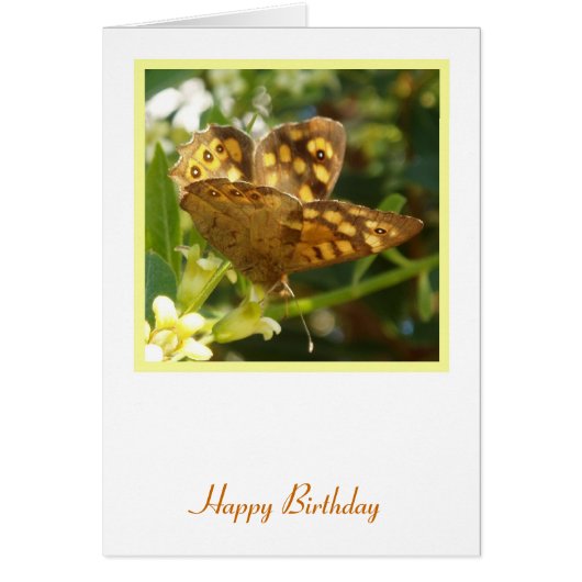 Carte d'anniversaire papillon (Devant)