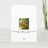 Carte d'anniversaire papillon (Dos)