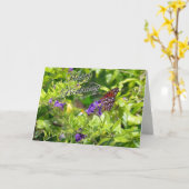 Carte d'anniversaire papillon - Golfe Fritillaire (Fleur jaune)