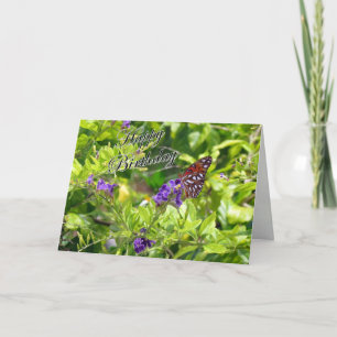 Carte d'anniversaire papillon - Golfe Fritillaire