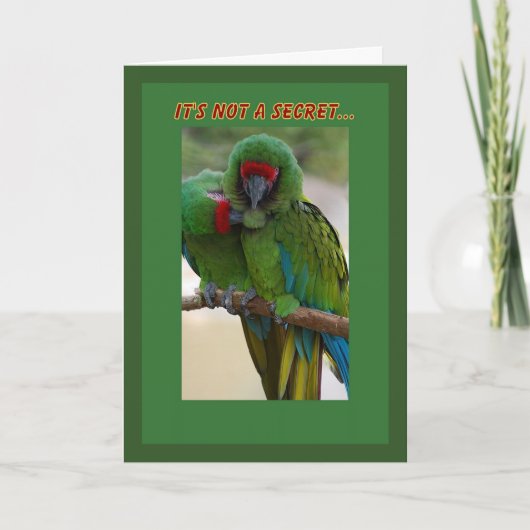 Carte d'anniversaire Parrot Couple (Devant)