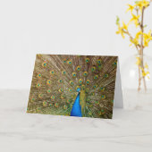 Carte d'anniversaire Peacock (Fleur jaune)