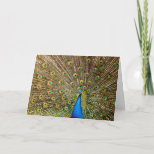 Carte d'anniversaire Peacock