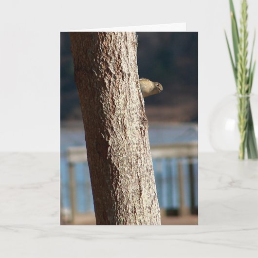 carte d'anniversaire peek a boo (Devant)