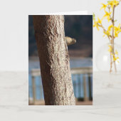 carte d'anniversaire peek a boo (Fleur jaune)