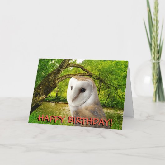 Carte d'anniversaire personnalisable de hibou de (Devant)