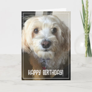 Carte d'anniversaire photo