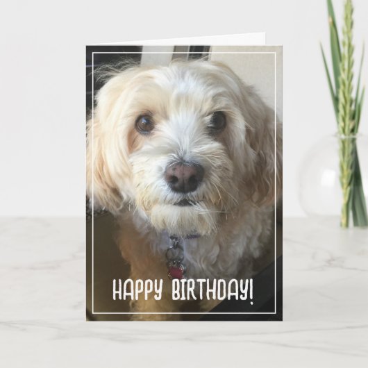 Carte d'anniversaire photo (Devant)