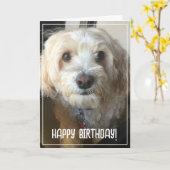 Carte d'anniversaire photo (Fleur jaune)