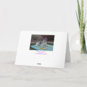 Carte d'anniversaire, photo d'un chien féminin aux (Dos)