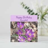 Carte d'anniversaire Plat de Crocus pourpre (Debout devant)