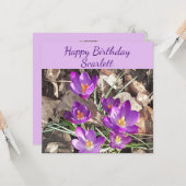 Carte d'anniversaire Plat de Crocus pourpre (Devant/Arrière en situation)
