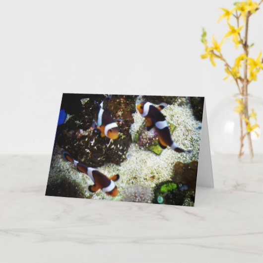 Carte d'anniversaire "Poisson clown" (Fleur jaune)