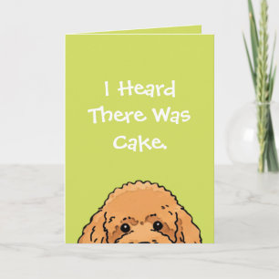 Carte d'anniversaire pour amateur de chiens Desi