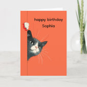 Carte d'anniversaire pour chat joueur (Devant)
