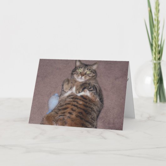 Carte d'anniversaire pour chats amusants (grande i (Devant)